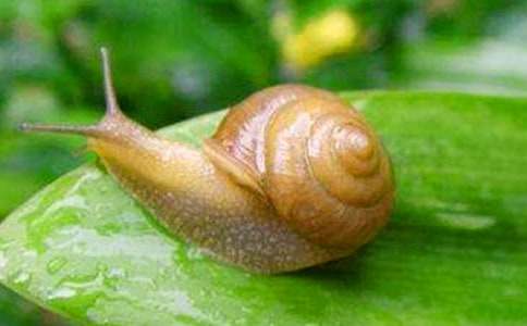 С���Z�Խ̰���׃ɫ΁����