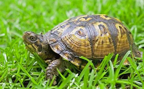 �ҵĄ������ў������ġ����]��