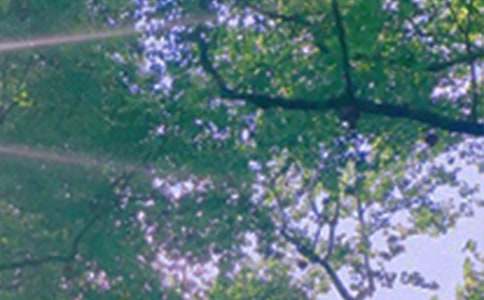 ��ܰ���簲΢�ņ����Z�\��72�l