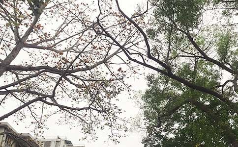 ��ů���簲�����Z����43��