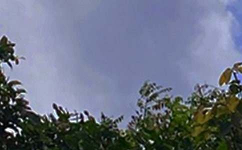 ����ϵ�簲QQ�����Z(y��)�R��43��