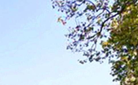 2026���簲�����Z68��