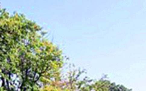 2026�����õ��簲΢�ņ�(w��n)���Z(y��)81�l