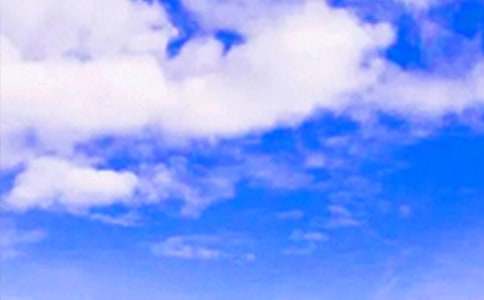 �簲��(w��n)���Z(y��)���ŅR��66��