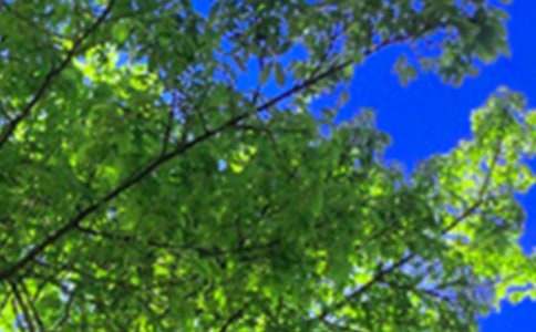 2026������ϵ�簲QQ�����Z�\��56�l