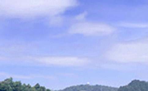 2026�����õ��簲��(w��n)���Z(y��)29�l