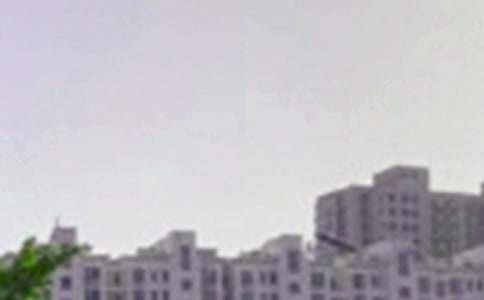 Ψ�����簲�����Z����ժ�83�l