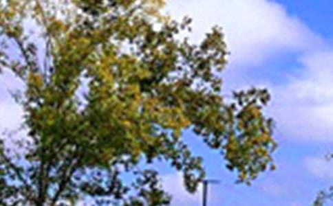 2026���ܰ���簲�����Z���Ŵ�ϼ�53��