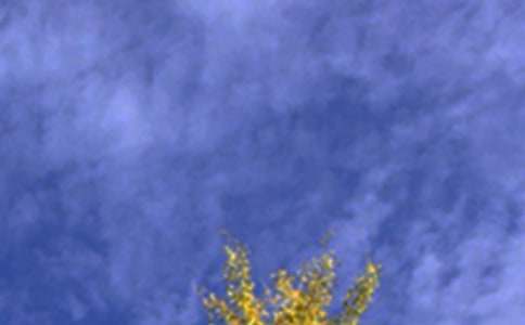 �P(gu��n)��ů���簲ף���Z��ȫ��ͨ��100�䣩