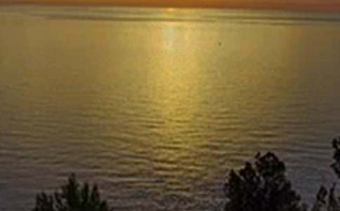 ����ϵ�簲΢�ņ����Z����79�l