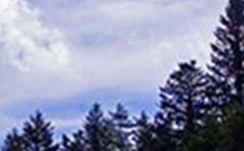 �P(gu��n)��ů���簲ף���Z80��