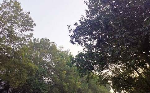 2026��Ψ�����簲΢�ņ�(w��n)���Z(y��)76��