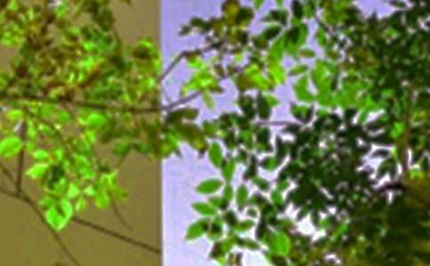 2026������ϵ�簲��(w��n)���Z(y��)45�l