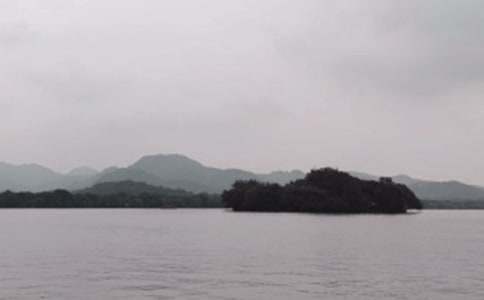 �����Č�(d��o)���~