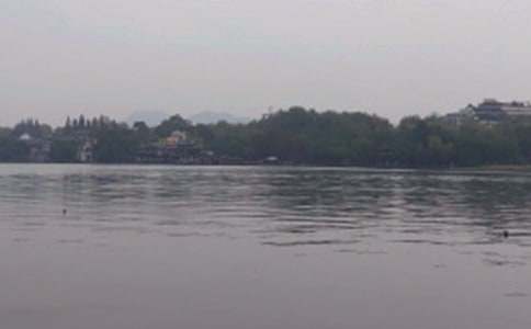 西湖龍井導(dǎo)游詞