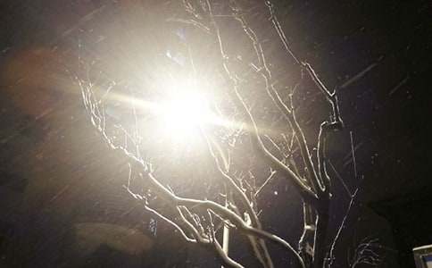 С�W��ѩ������600����ƪ