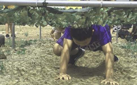 �����A������I�����gӭ�~