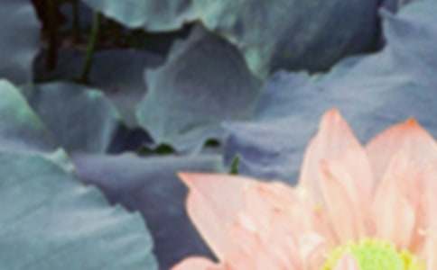 ���������Z54��