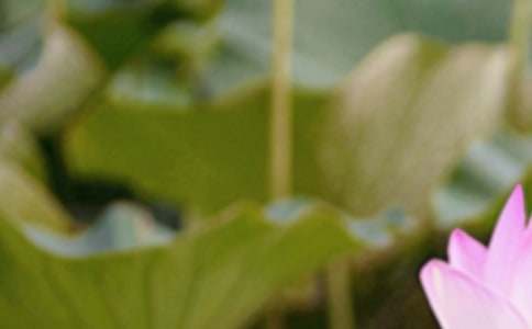 �J(r��n)�R(sh��)������(ji��)��̰������x6ƪ��