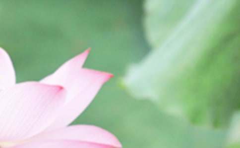 ���µ����������Z