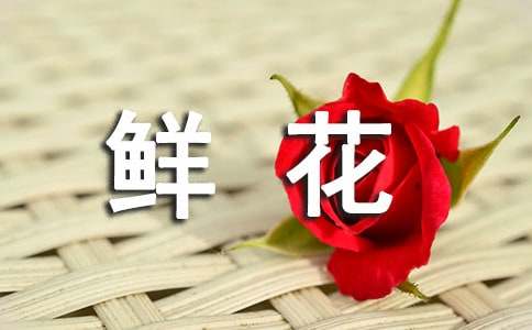 鮮花的`花語(yǔ)
