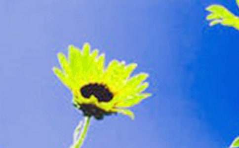 ���տ��Ļ��Z15ƪ��ͨ�ã�