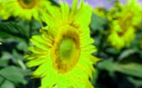 �����]�����տ��Ļ��Z