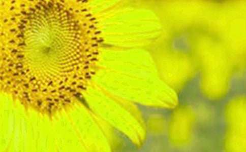 �а�̰������տ�