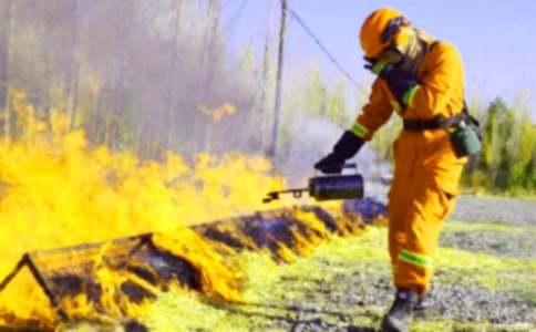 ����������(bi��o)�Z(y��)�\��