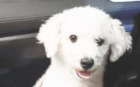 С��С�W(xu��)����[��(y��u)]