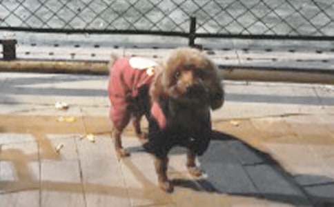 �����]��С���W���m(x��)������