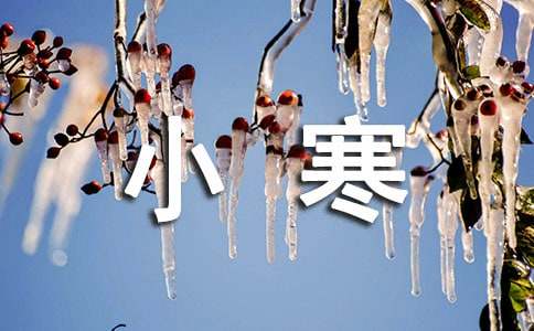 2025��С�������Z41�l