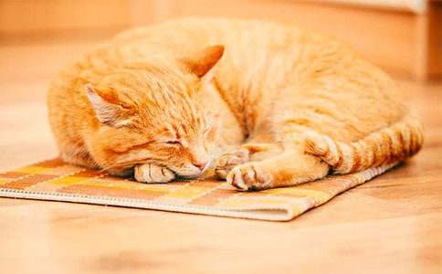 С؈�m(x��)������(�R��11ƪ)