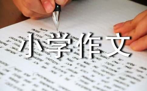 ����С�W(xu��)���ġ���(y��u)��8ƪ��