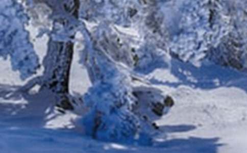 Сѩ�簲��(w��n)���Z(y��)