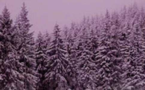 Сѩ�l(f��)�Ć����Z