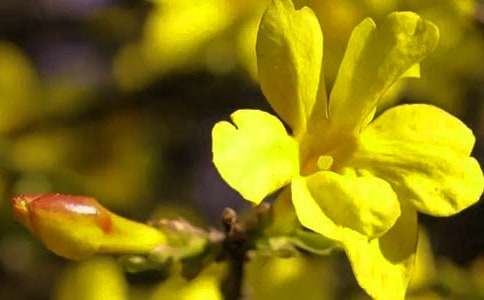 С�ࡶӭ�������̰������A15ƪ��