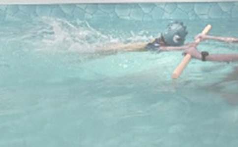 游泳課心得體會