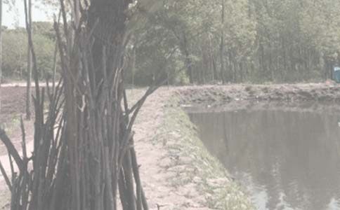 �����x�������~���a���f(xi��)�h��2ƪ