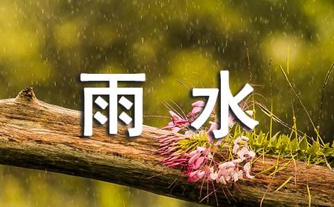 雨水節(jié)氣教案小班