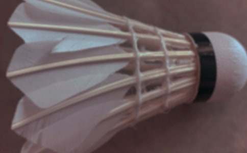 ��ë��f(xi��)��(hu��)����Ӌ(j��)��