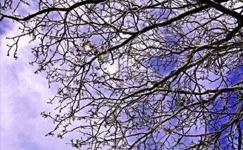 【熱門】美好的早安祝福語合集36條