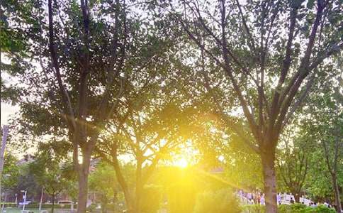 【推薦】2023年美好的早安微信祝福語36條