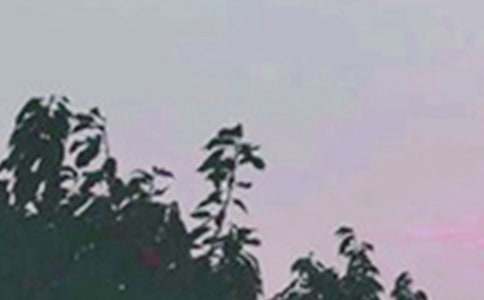 通用美好的早安微信祝福語摘錄45條