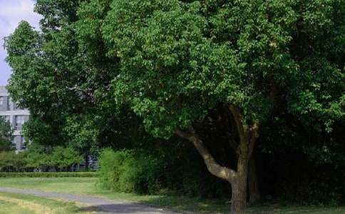 常用個(gè)性早安祝福語大全(精選60句)