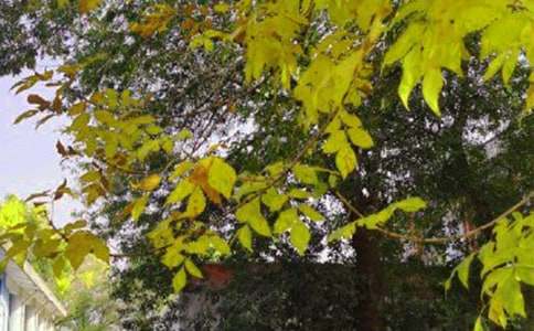 最新個性早安祝福語大全(通用65句)