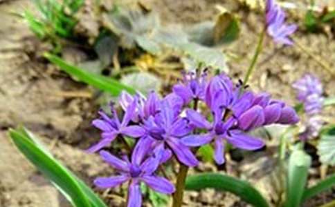 �����T�����õ��簲΢��ף���Z�ϼ�33��