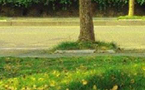 ���õ��簲΢��ף���Z����63�l