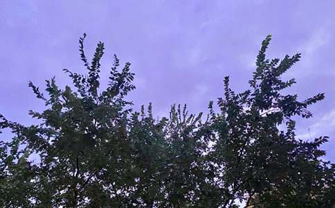 美好的早安微信祝福語27句