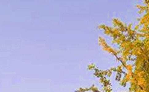 ��(ji��n)�΂�(g��)���簲ף���Z�R����ͨ��55�䣩